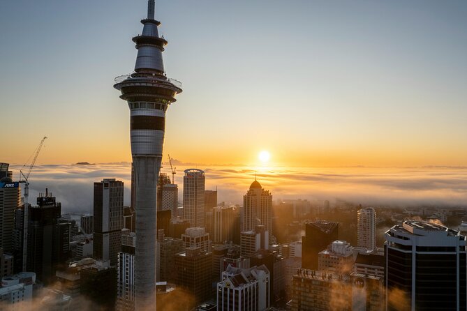 Auckland Highlight Attractions Small Group Tour - Who will get the most from the $99.29 price