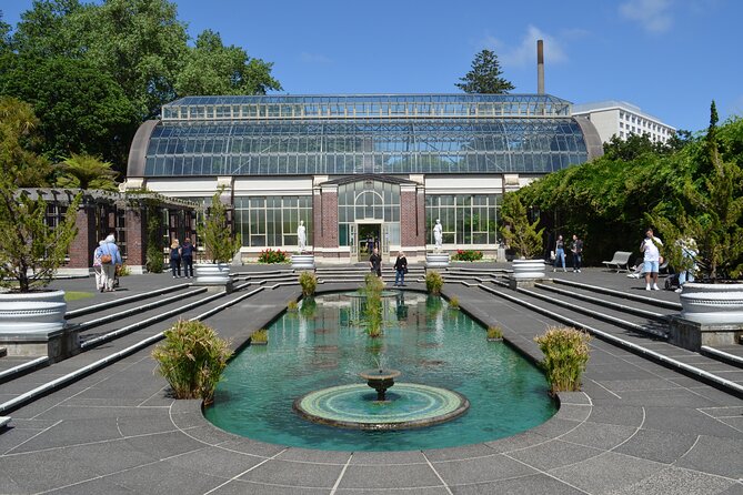 Auckland Highlights Full Day Guided Tour - Piha Beach and the day’s strongest finish