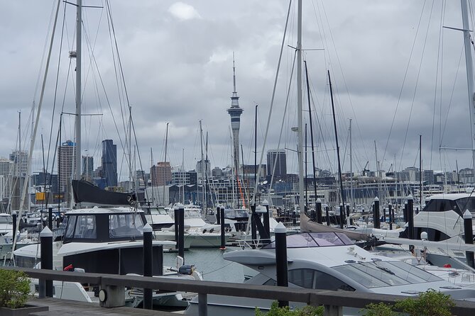 Auckland Highlights Full Day Guided Tour - Westhaven Marina and the Harbour Bridge
