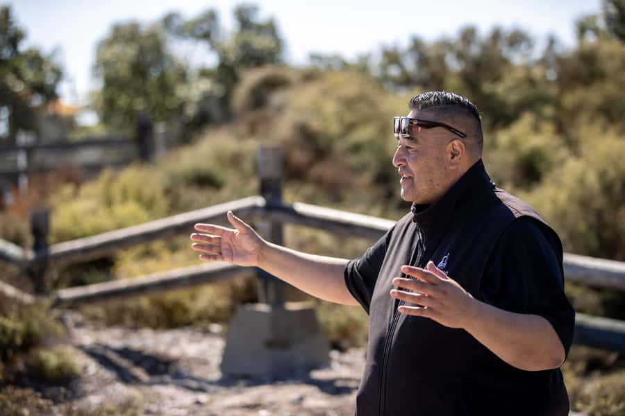 Auckland: Hobbiton and Rotorua Day Tour including Te Puia - Who should book this tour?