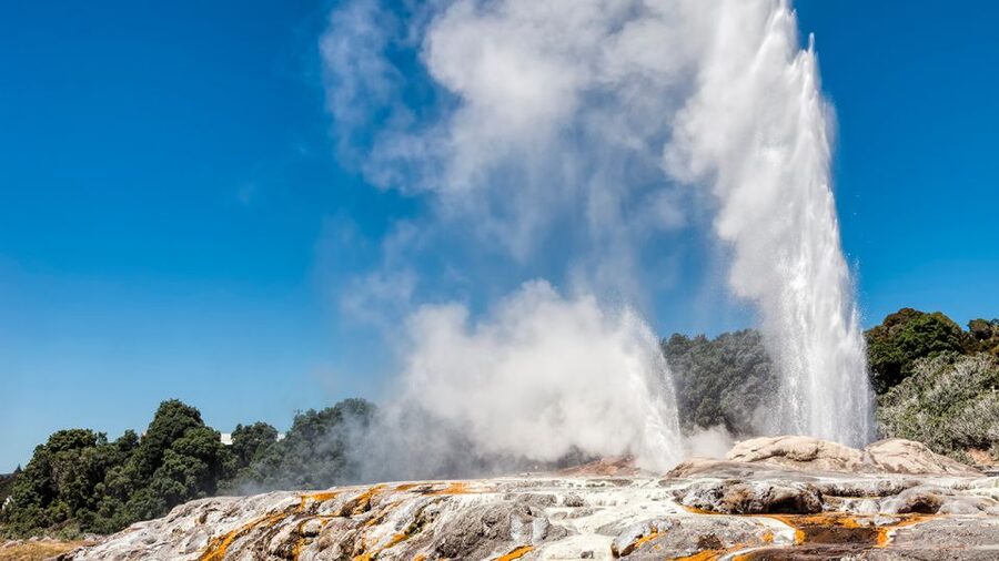 Auckland: Hobbiton and Rotorua Day Tour including Te Puia - Te Puia and the force of Pohutu Geyser