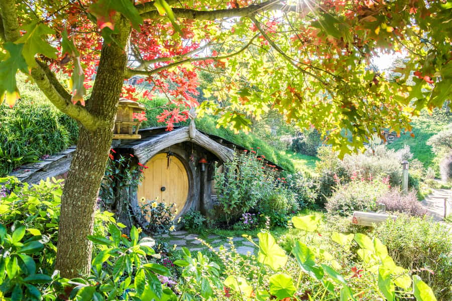 Auckland: Hobbiton Movie Set Tour with Lunch - The early Auckland pickup makes the day simple