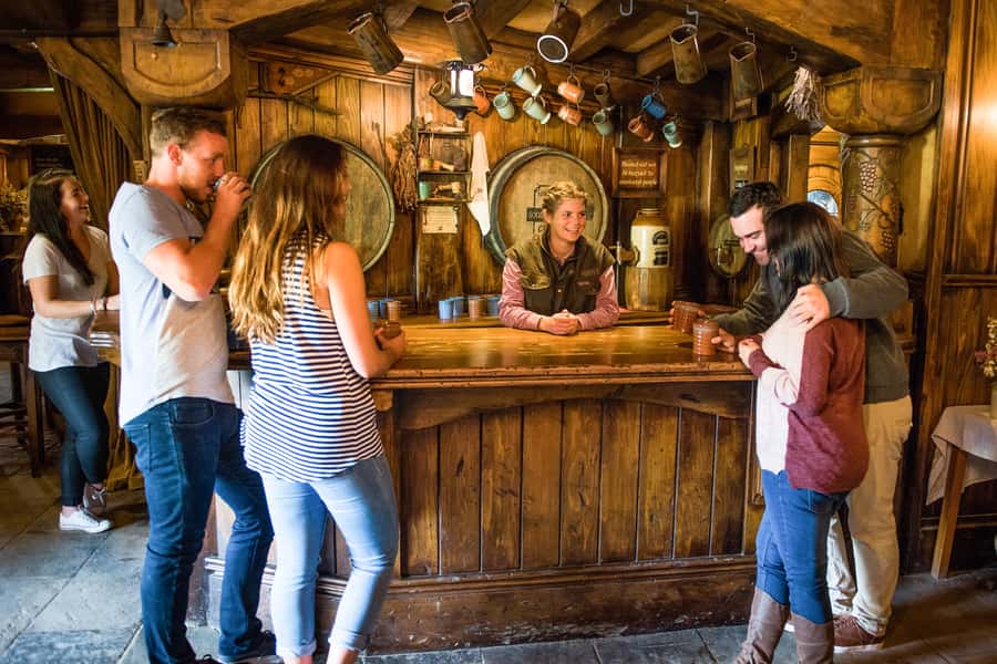 Auckland: Hobbiton Movie Set Tour with Lunch - Who will enjoy this Hobbiton tour most