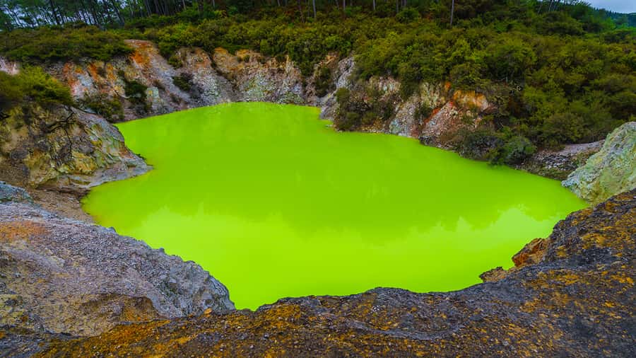 Auckland: Hobbiton, Rotorua and Wai-O-Tapu Day Tour - Rotorua highlights in a short window