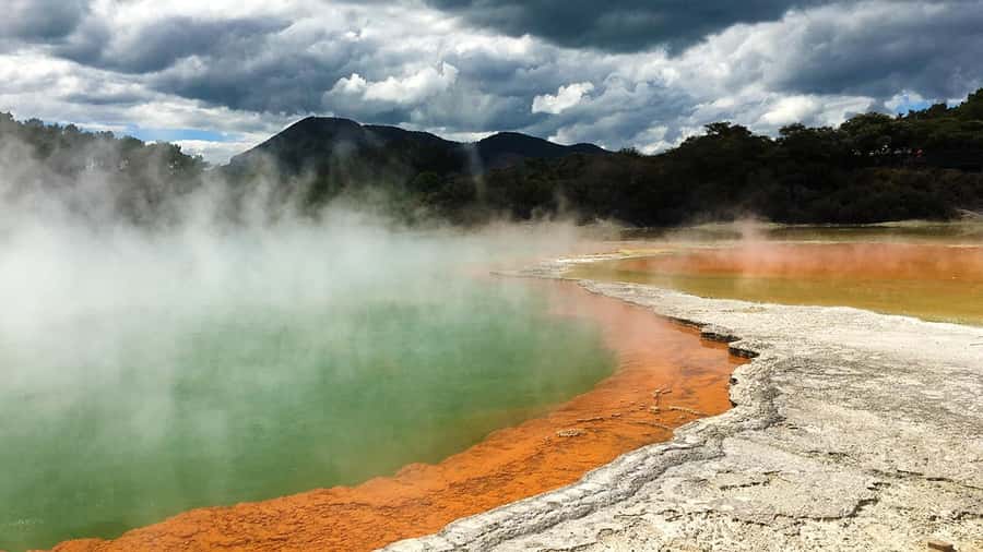 Auckland: Hobbiton, Rotorua and Wai-O-Tapu Day Tour - Is $256 good value?