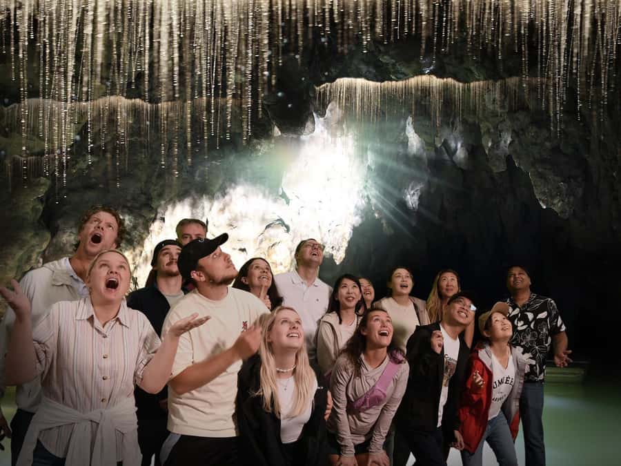 Auckland: Hobbiton & Waitomo Caves Small-Group Tour & Lunch - Who should book this $226 tour?