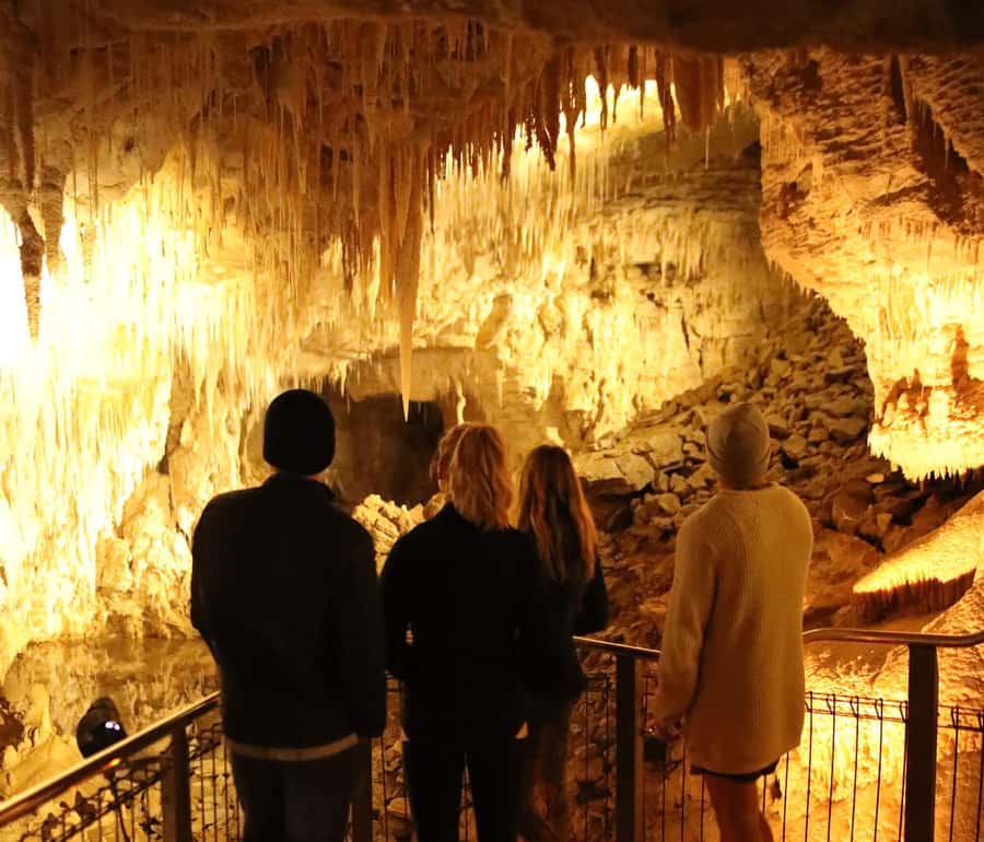 Auckland: Hobbiton & Waitomo Glow Worm Caves Private Tour - Practical details that can make the day easier