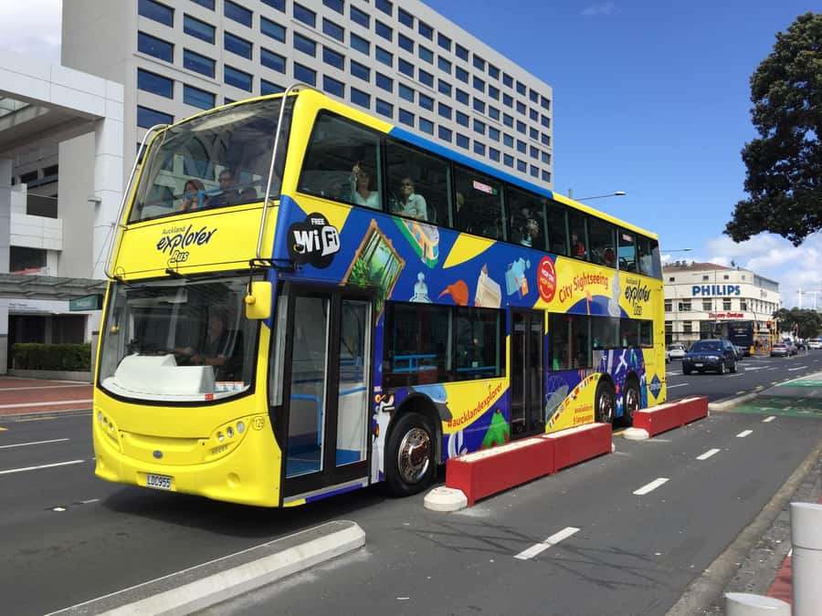 Auckland: Hop-On Hop-Off Explorer Bus Ticket - Who should book the Auckland Explorer Bus?