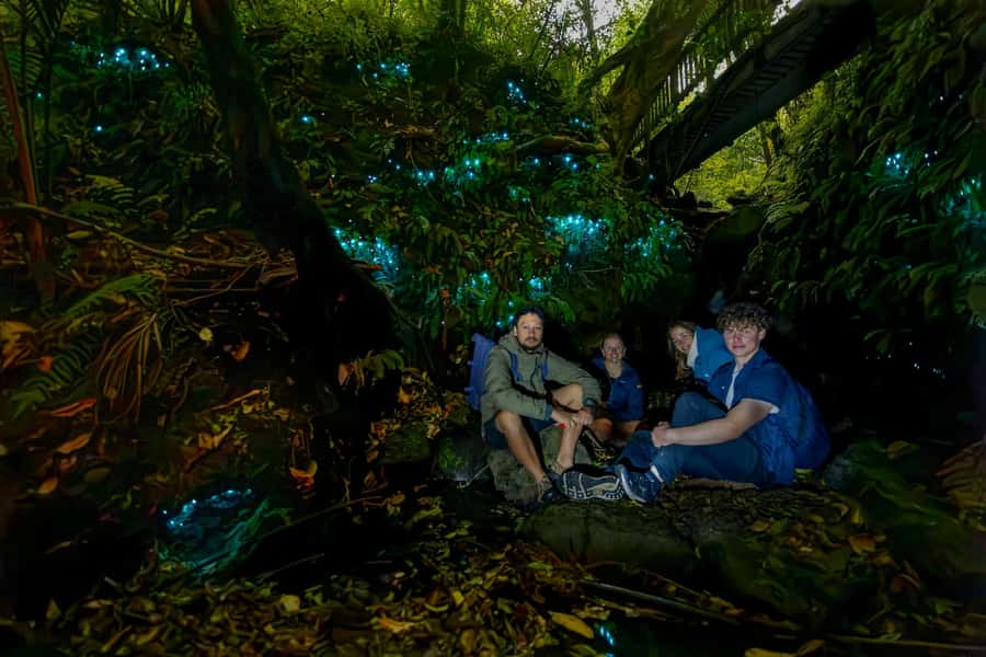 Auckland: Inner-City Glowworm Experience in Ancient Volcano - Walking 1.3 kilometers through dark volcanic terrain