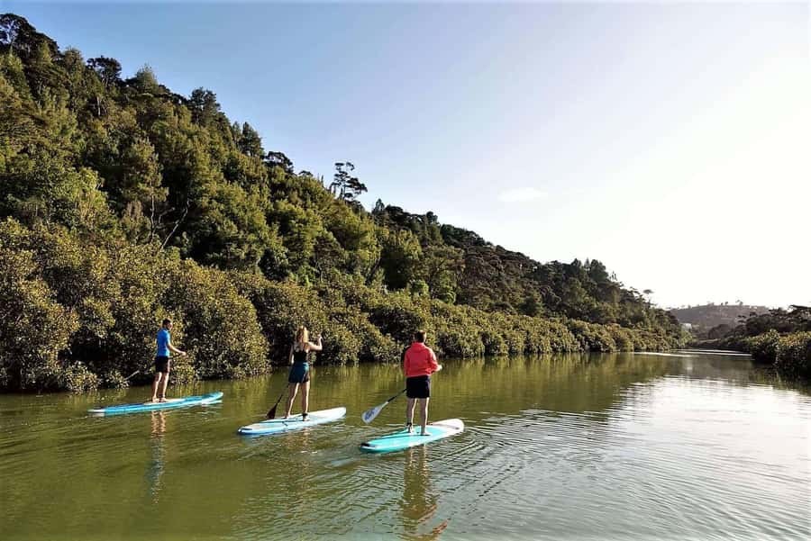 Auckland: Lucas Creek Waterfall SuP Tour - Why Lucas Creek Makes a Good SUP Trip