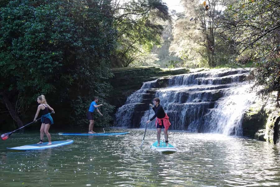 Auckland: Lucas Creek Waterfall SuP Tour - Meeting at 31 Wharf Road