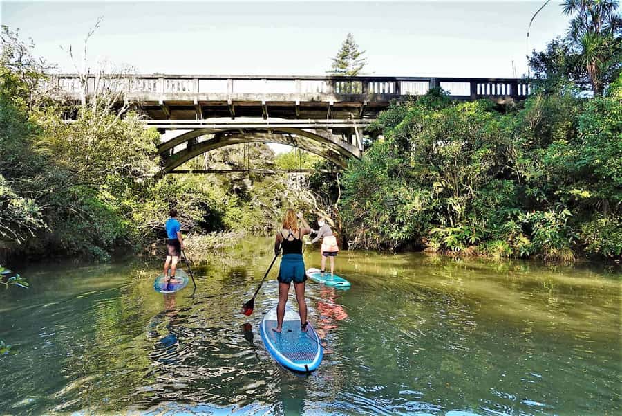 Auckland: Lucas Creek Waterfall SuP Tour - The Paddle Through Albany’s Waterways