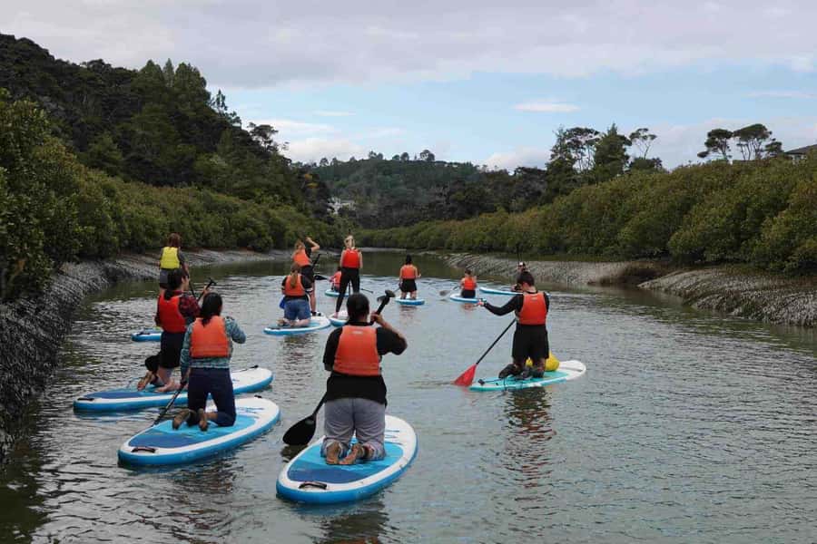 Auckland: Lucas Creek Waterfall SuP Tour - Learning to Stand Before Lucas Creek