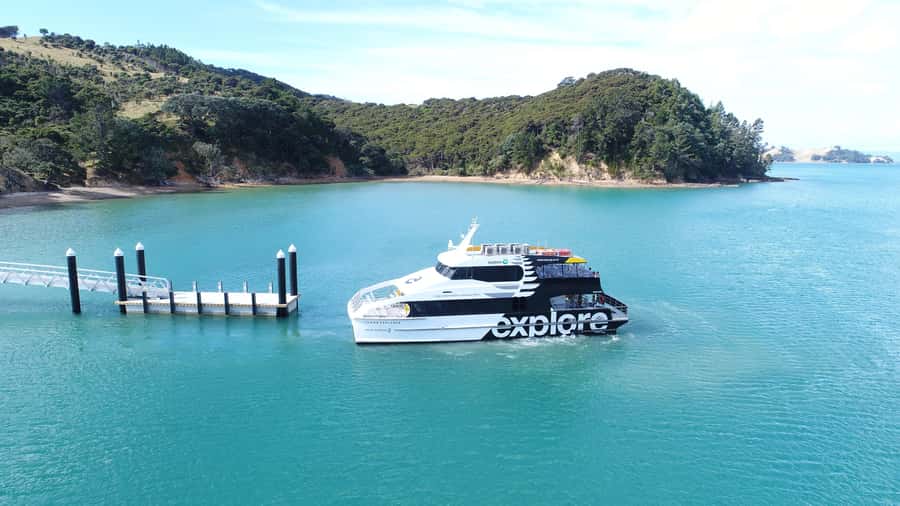 Auckland: Man O' War Vineyard Ferry (Waiheke Island) - Should you book the Man O’ War ferry?