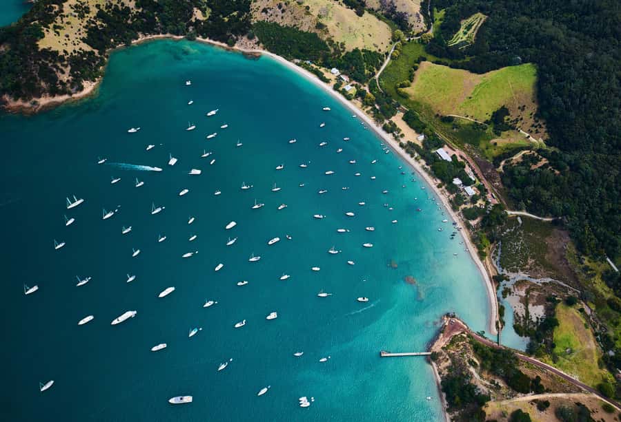Auckland: Man O' War Vineyard Ferry (Waiheke Island) - The 90-minute cruise through the Hauraki Gulf