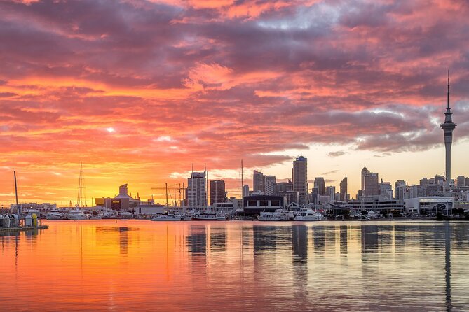 Auckland Māori Culture Experience - Private Tour - Bastion Point and the story of contested land
