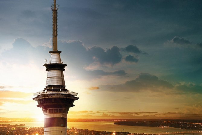 Auckland Māori Culture Experience - Private Tour - What the private vehicle changes