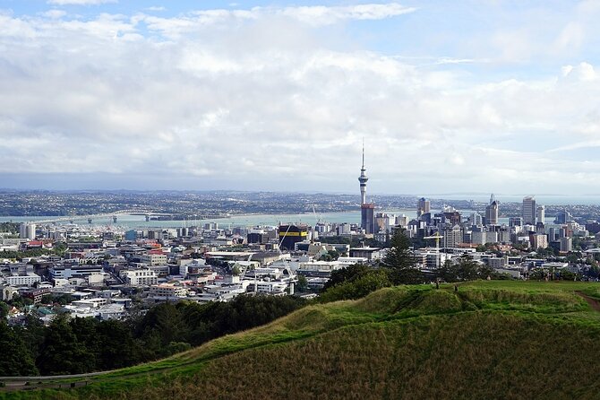 Auckland Museum and Highlight Sightseeing Tour - Who should book this Auckland tour