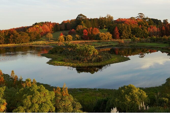 Auckland Nature Tour - Why this Auckland nature tour works