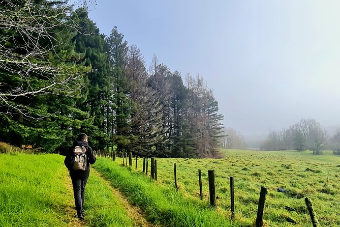 Auckland Nature Tour - What the small group changes