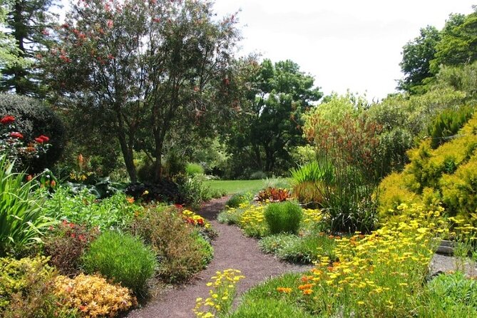 Auckland Nature Tour - Who should book this outing?