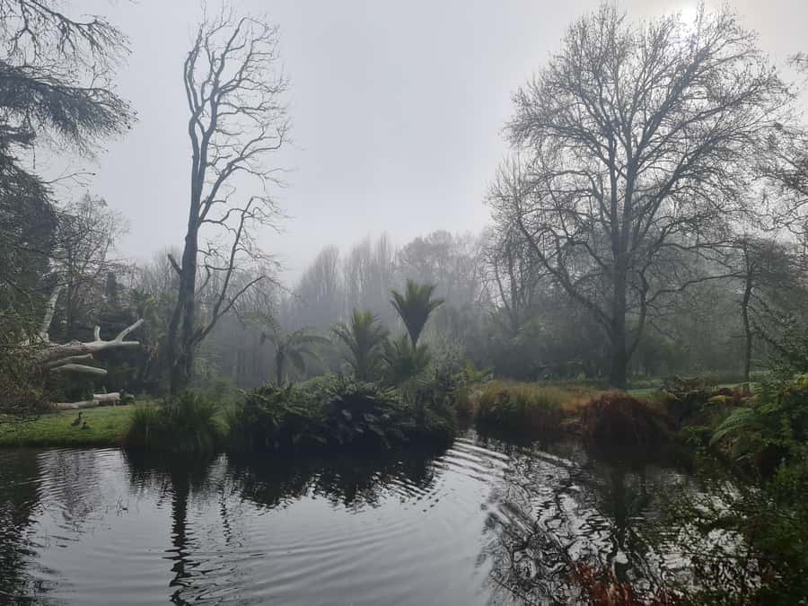 Auckland Nature Tour - Should you book the Auckland Nature Tour?