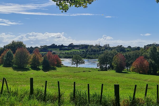 Auckland Nature Tour - Ayrlies Garden and Wetlands: the main event