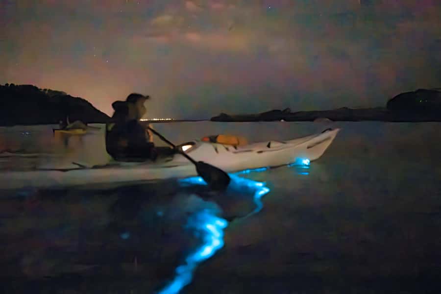 Auckland: Night Kayak Tour in Glowing Bioluminescent Waters - Blue sparks beneath the Auckland stars