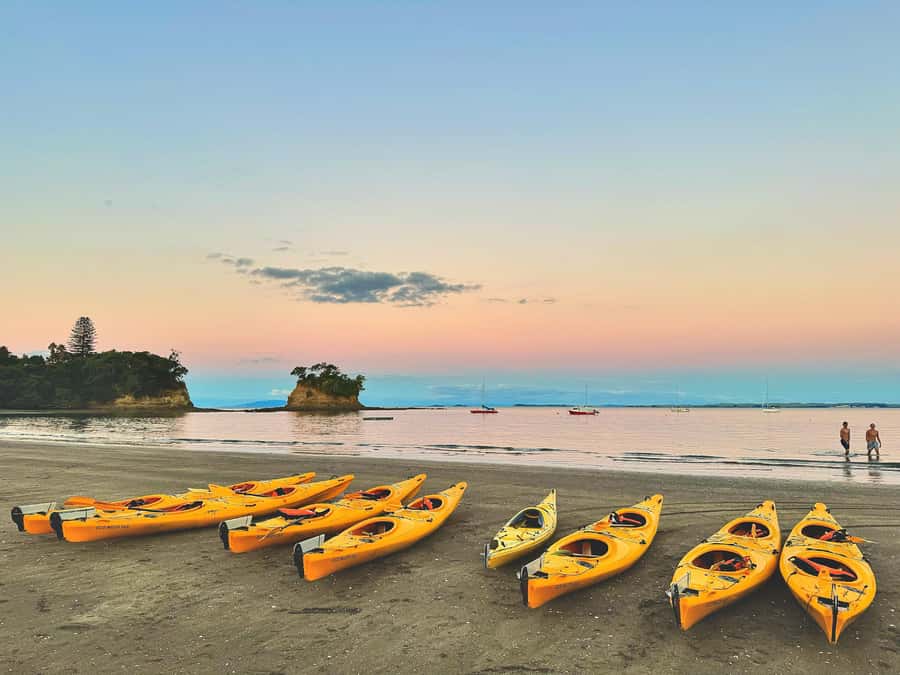 Auckland: Night Kayak Tour in Glowing Bioluminescent Waters - What the glowing water really looks like