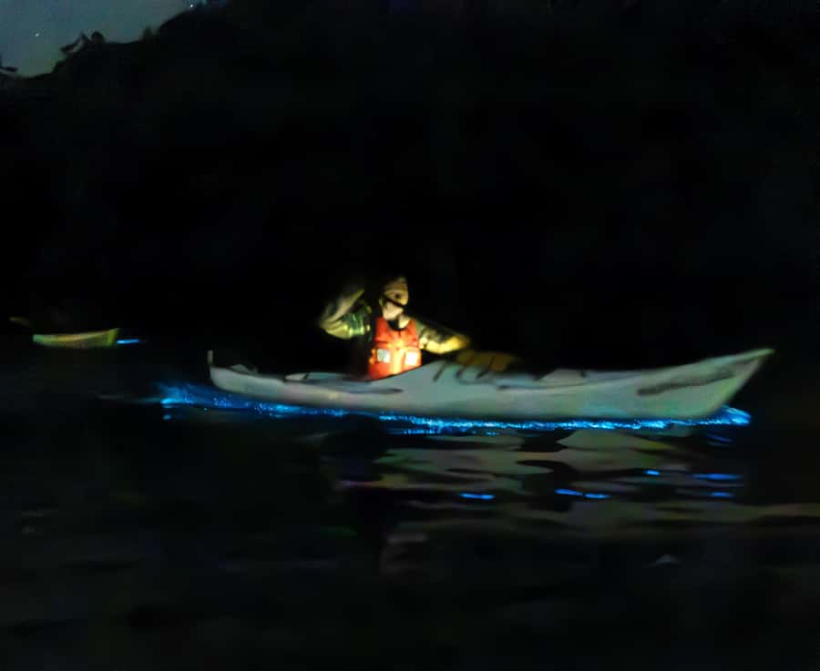 Auckland: Night Kayak Tour in Glowing Bioluminescent Waters - A short break and a quiet finish