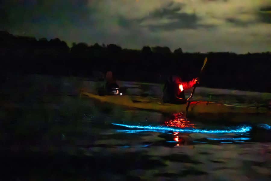 Auckland: Night Kayak Tour in Glowing Bioluminescent Waters - Small details that improve the night