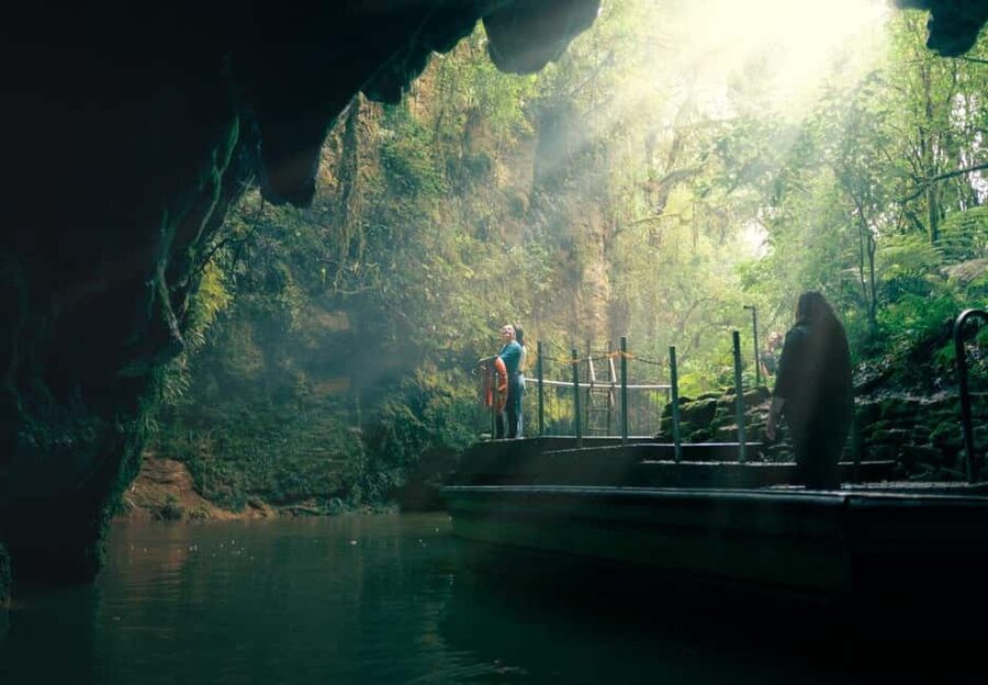 Auckland: One-Way Tour to Rotorua with Waitomo Caves - Key points to know before booking