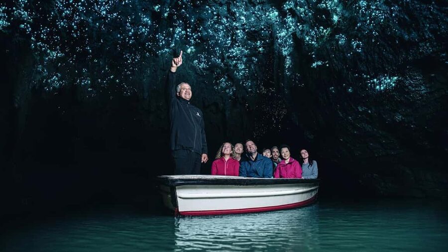 Auckland: One-Way Tour to Rotorua with Waitomo Caves - Why this Auckland to Rotorua transfer works