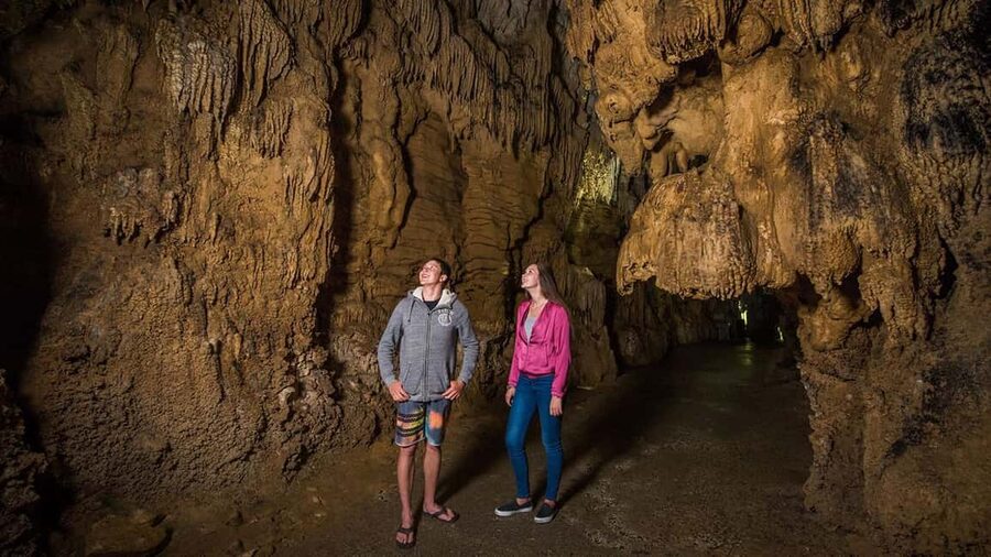 Auckland: One-Way Tour to Rotorua with Waitomo Caves - Entering the Waitomo Glowworm Caves