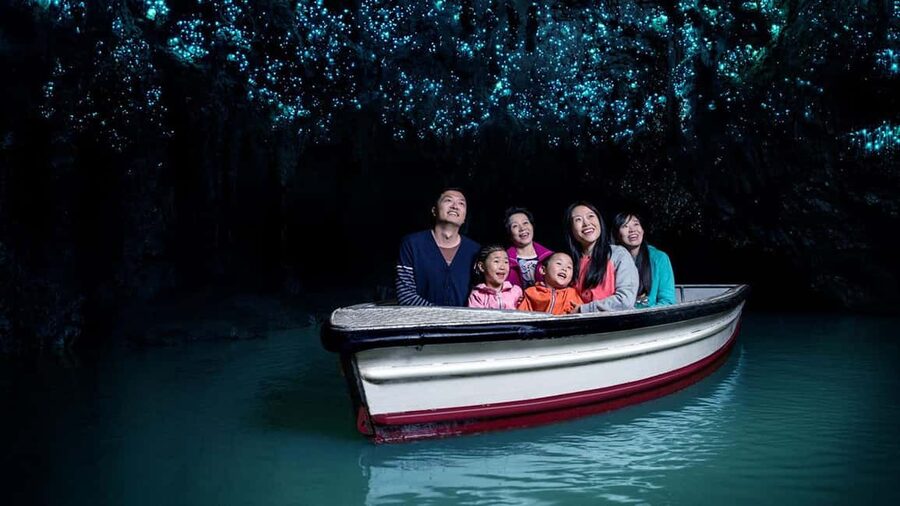 Auckland: One-Way Tour to Rotorua with Waitomo Caves - Timing, luggage, and family details