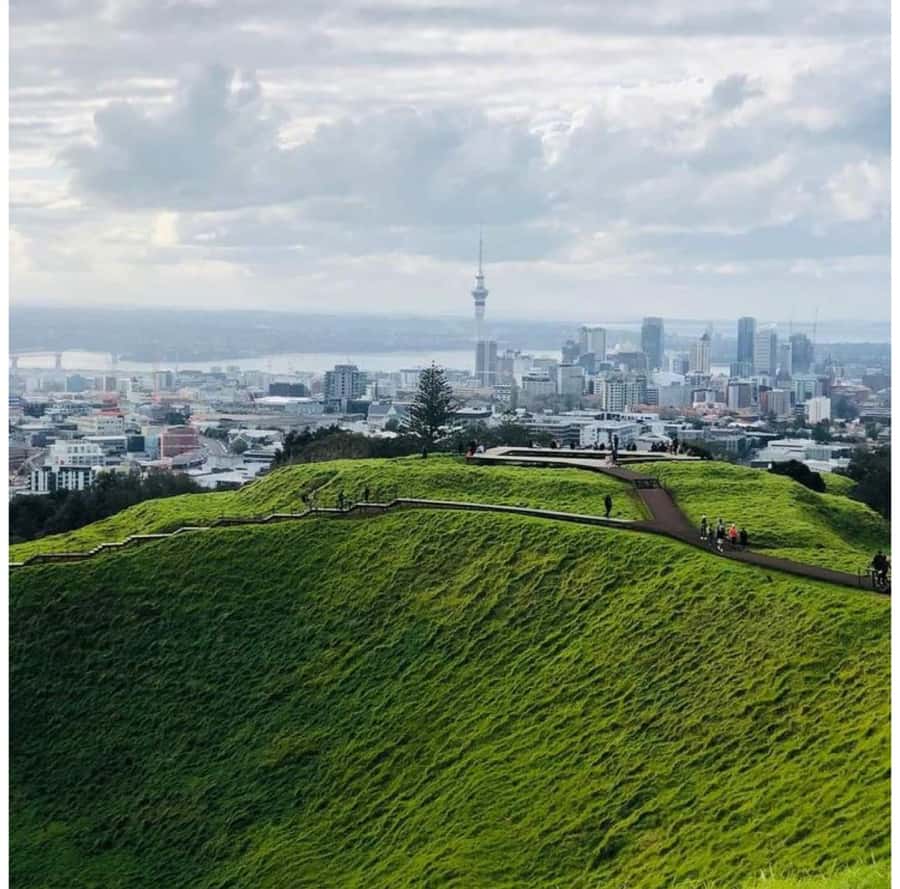 Auckland: Piha Beach, Rainforest, & Mount Eden Private Tour - Arataki Cultural Centre and the first forest views