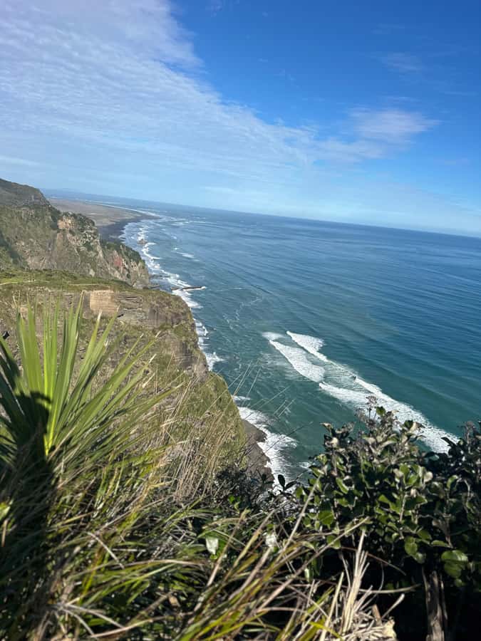 Auckland: Piha Beach, Rainforest, & Mount Eden Private Tour - Who will enjoy this Auckland half-day