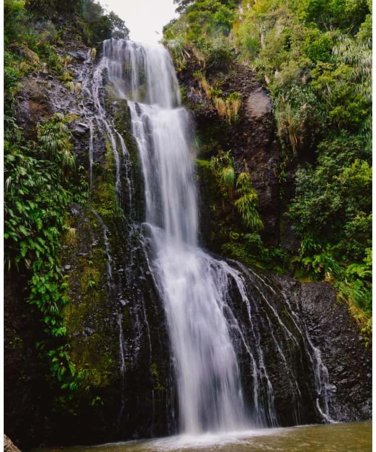 Auckland: Piha Beach, Rainforest, & Mount Eden Private Tour - Should you book the Piha and Mount Eden tour?