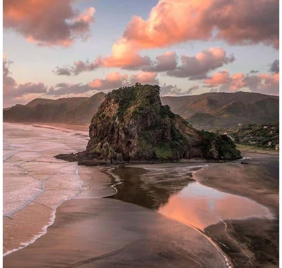 Auckland: Piha Beach, Rainforest, & Mount Eden Private Tour - A rainforest walk beneath kauri and nikau palms