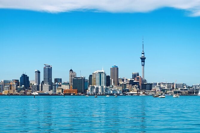 Auckland Private Custom Walking Tour with A Guide (Private Tour) - Walking pace, comfort, and the honest drawback