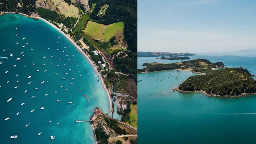 Auckland: Rotoroa Island and Man O'War Vineyard Combo Tour - Rotoroa Island: tracks, beaches, and native wildlife