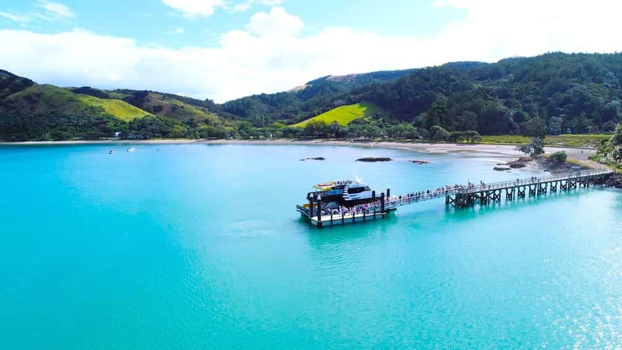 Auckland: Rotoroa Island and Man O'War Vineyard Combo Tour - Why the cruise matters