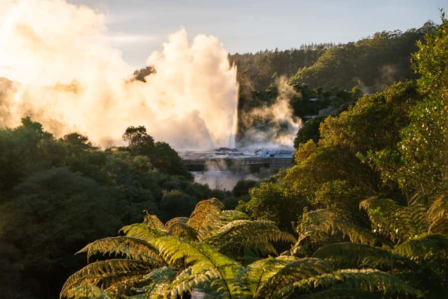 Auckland: Rotorua Highlights inc Wai O Tapu & Te Puia Tour - Why this Auckland to Rotorua day trip works