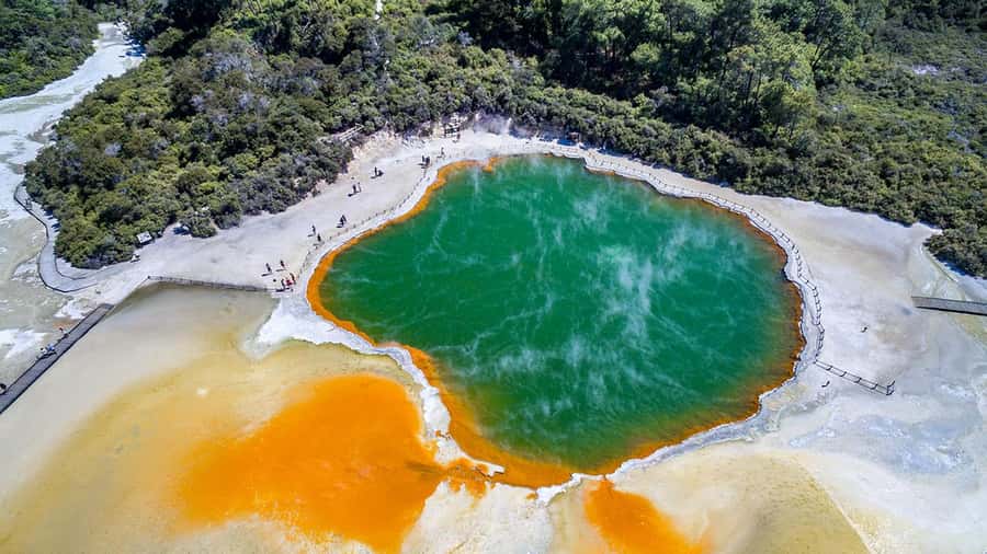 Auckland: Rotorua Highlights inc Wai O Tapu & Te Puia Tour - Finding lunch between the two main visits