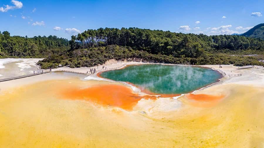 Auckland: Rotorua Highlights inc Wai O Tapu & Te Puia Tour - Te Puia, Māori arts, and the Pōhutu Geyser