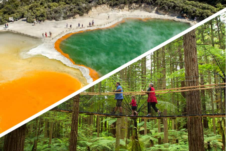 Auckland: Rotorua Highlights w WaiOTapu & Redwoods Treewalk - The long road from Auckland through Waikato