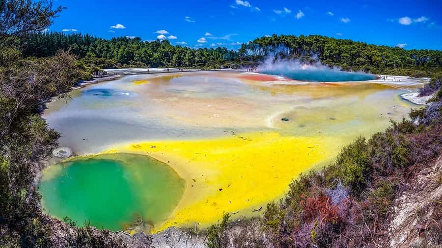 Auckland: Rotorua Highlights w WaiOTapu & Redwoods Treewalk - Wai-O-Tapu and the colors of the earth