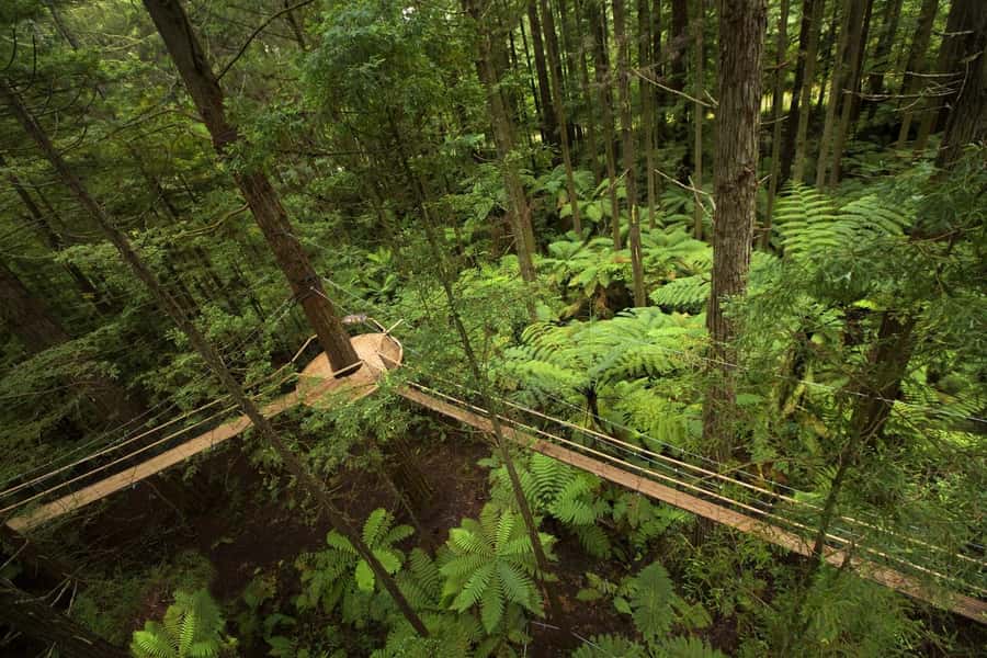 Auckland: Rotorua Highlights w WaiOTapu & Redwoods Treewalk - FAQ