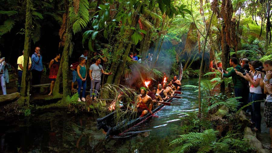 Auckland: Rotorua Māori Cultural & Geothermal Tour & Lunch - A long day made easier by the small-group format