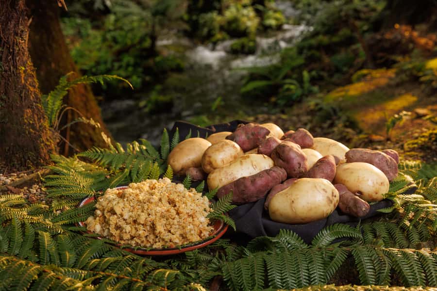 Auckland: Rotorua Māori Cultural & Geothermal Tour & Lunch - Who should book this Rotorua day trip